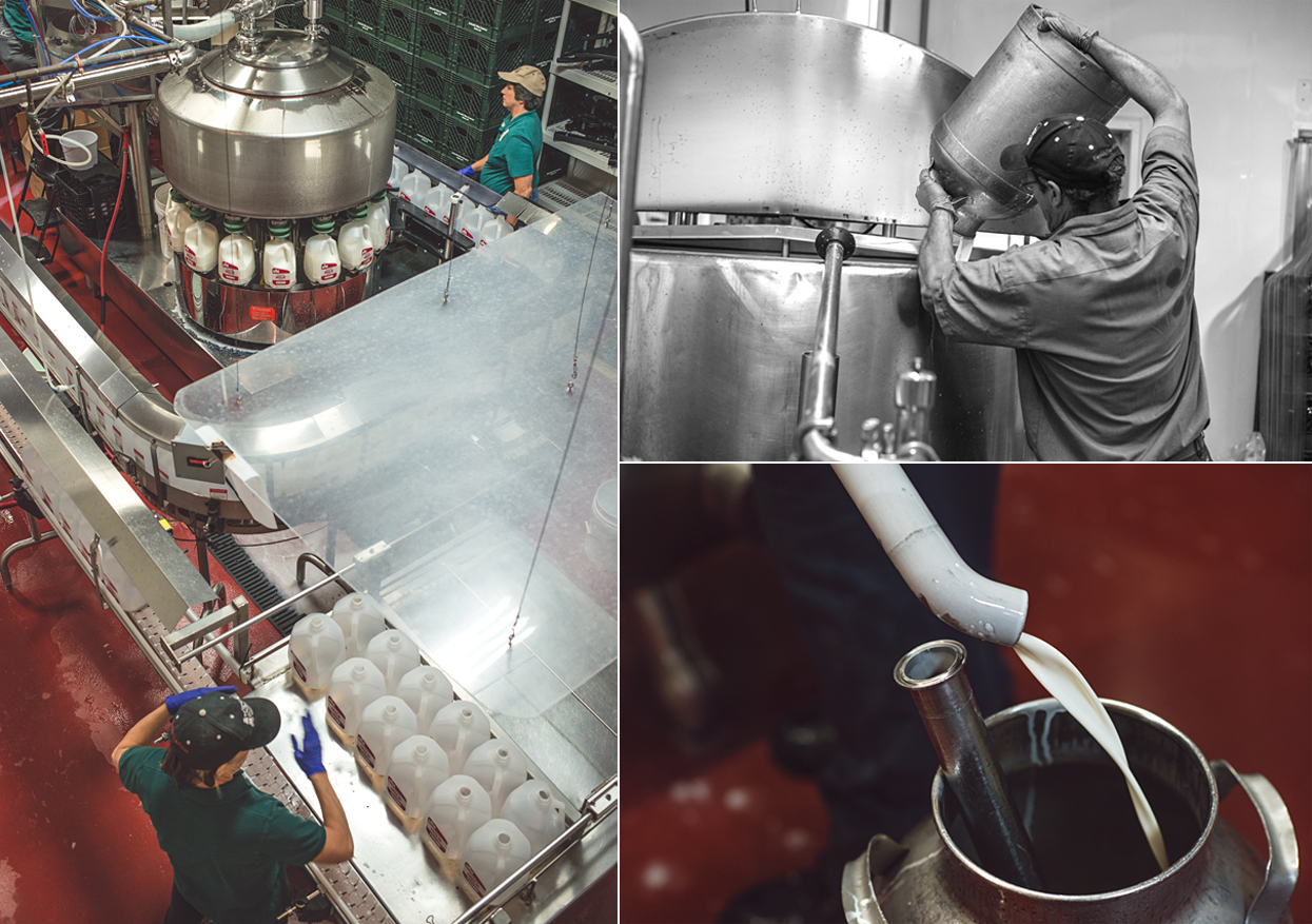 Clockwise: Bottling gallons of Five Acre Farms Whole Milk. Jim working the cream seperator. Milk and jug.