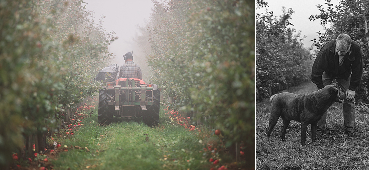 Left to right: Silas inspecting the rows. Brian and the ever faithful DogName.