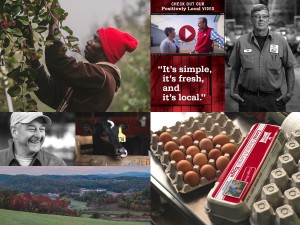 Five Acre Farms Website