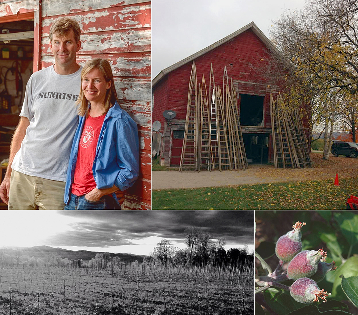 Sunrise Orchards