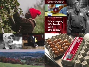 Five Acre Farms - website