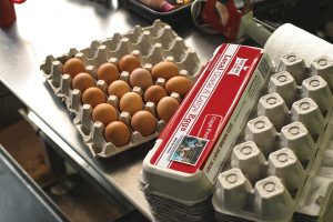 Local Eggs - Five Acre Farms