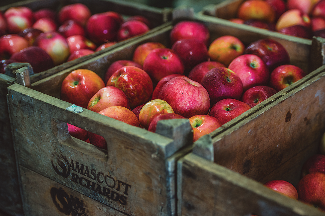 Arkanes Apples - Five Acre Farms