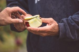Apple Tasting - Five Acre Farms