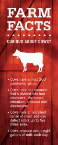 Farm Facts: Curious About Cows?