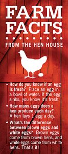 Farm Facts - Five Acre Farms