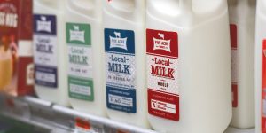 Five Acre Farms Milk on the shelf