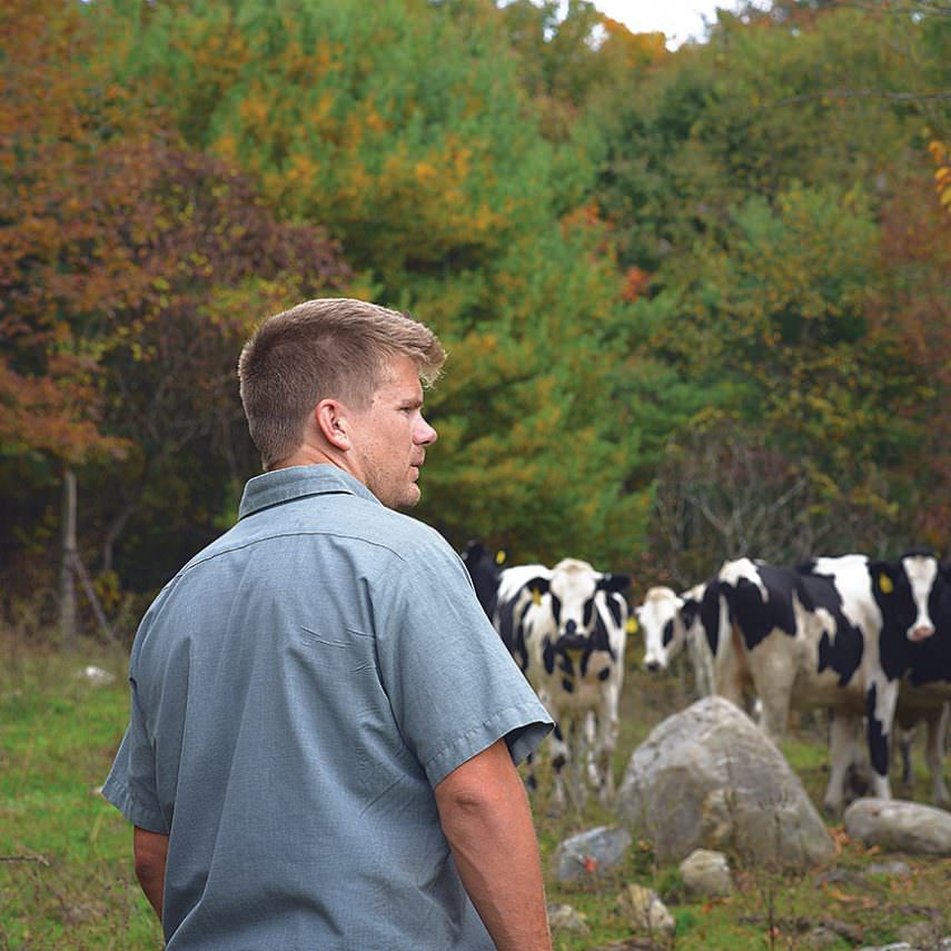 Seth McEachron monitoring heard of dairy cows