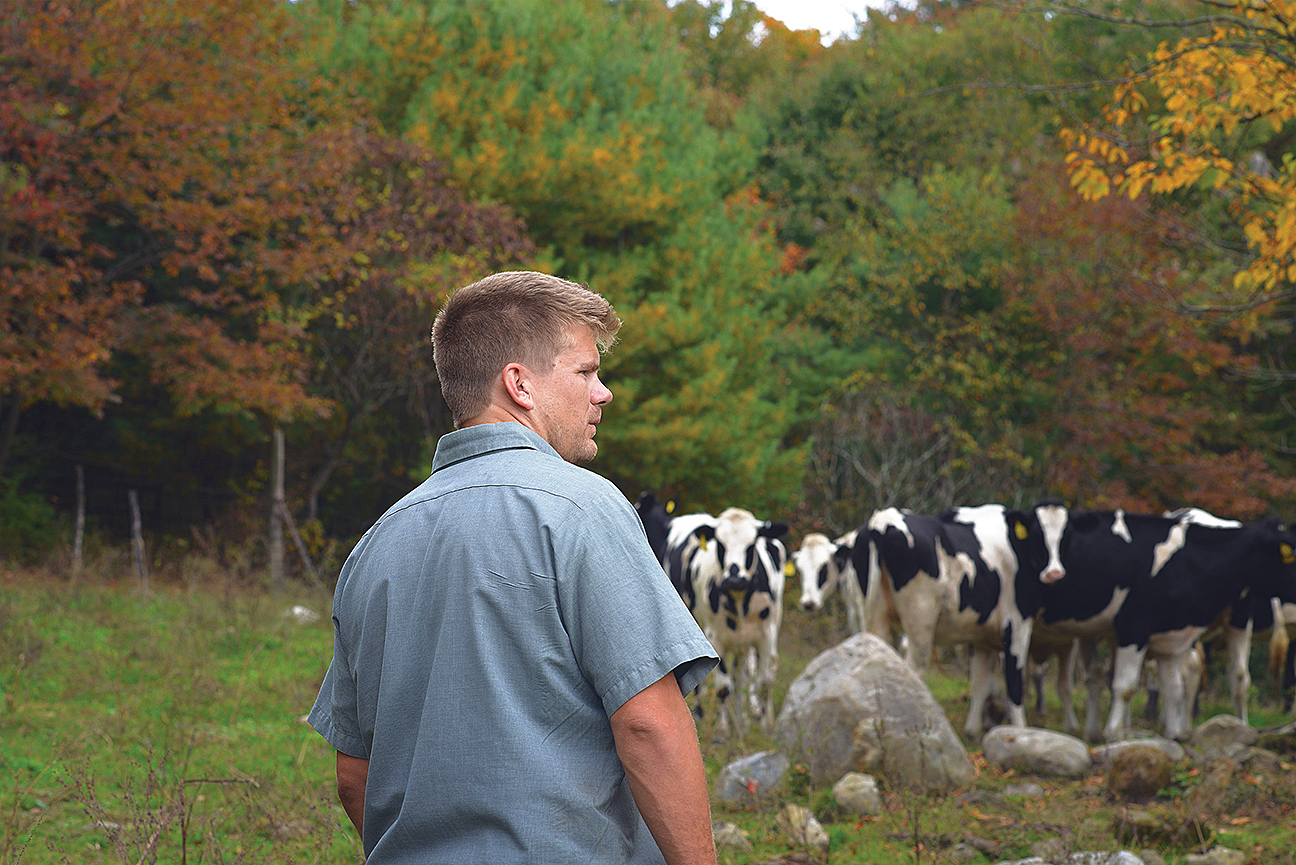 Dairy Farmer with cows - Five Acre Farms