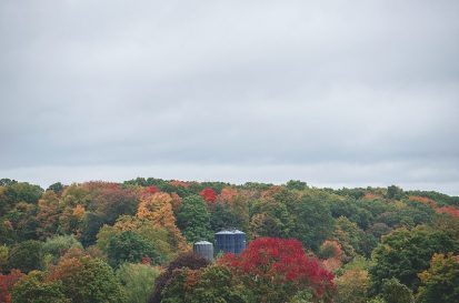 Five Acre Farms - Fall Color