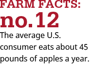 The average U.S. consumer eats 45 pounds of apples per year