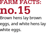 brown hens lay brown eggs