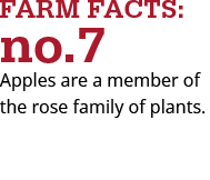 apples are a member of the rose family of plants