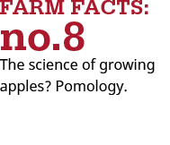 pomology is the science of growing apples