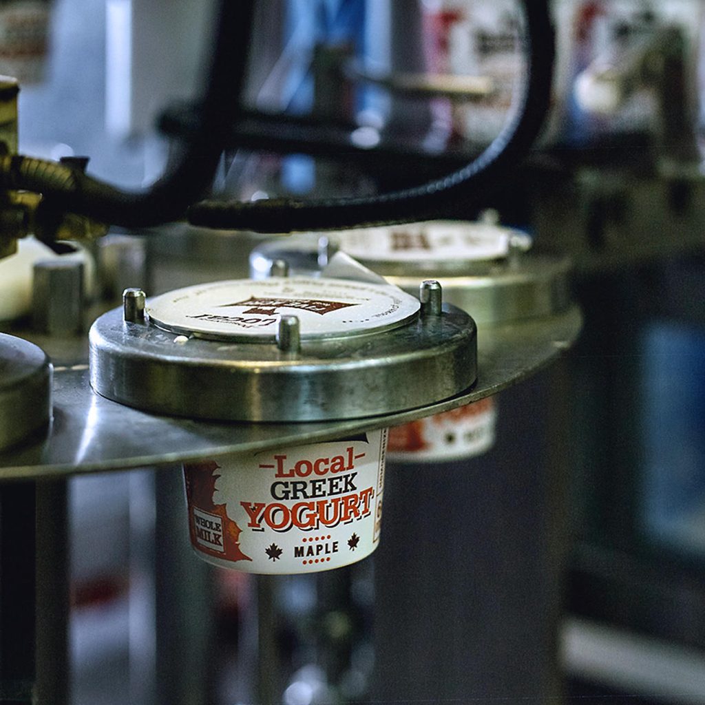 Containers of our Local Greek Maple Yogurt coming off the filling machine.