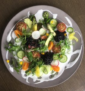 Vegetable Salad with Lentils and Honey