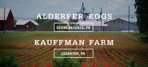 Alderfer Eggs - Five Acre Farms