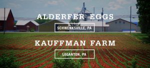 Five Acre Farms Egg Farmer - Alderfer Kauffman
