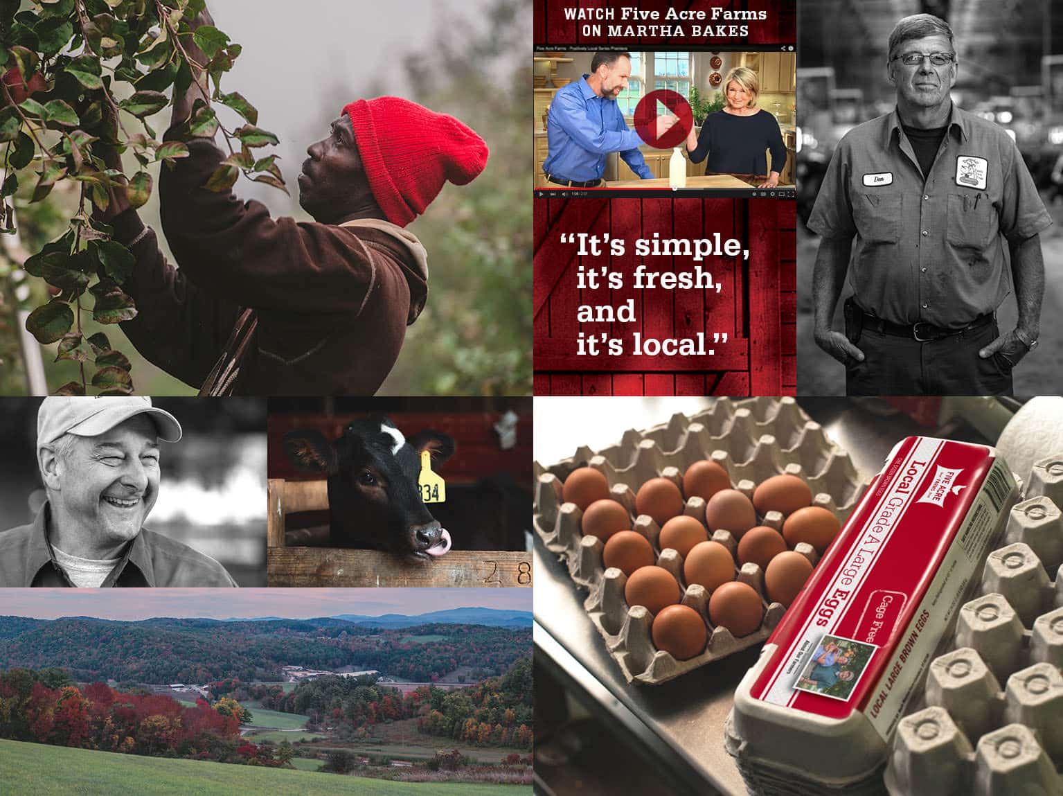 Five Acre Farms Home Page Image